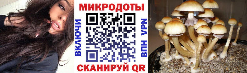закладка  Лукоянов  это клад  Галлюциногенные грибы мицелий 